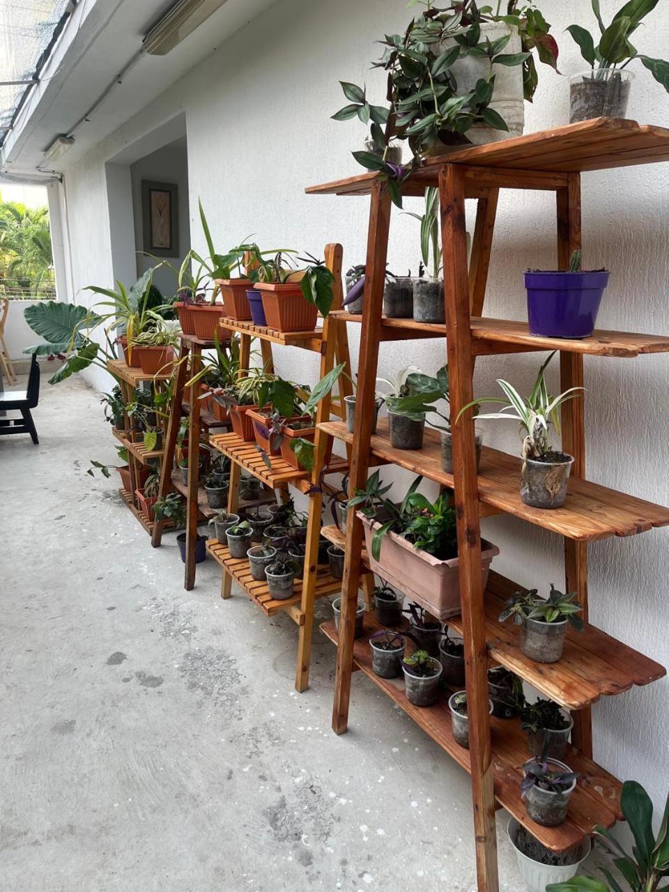 Habitación Cerca De La Playa 102 *